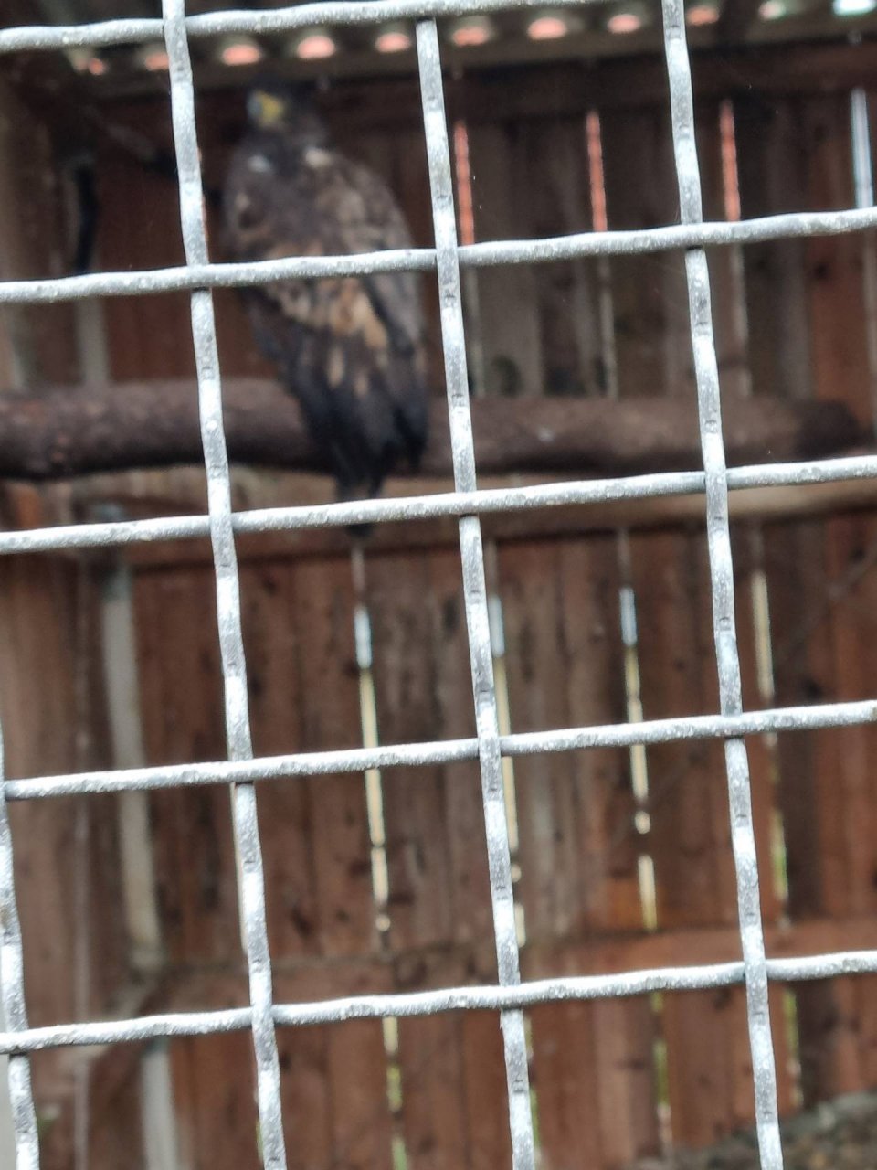 Oktober - Regionalwandertag Abtsgmünd